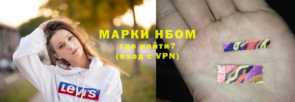 амф Ладушкин