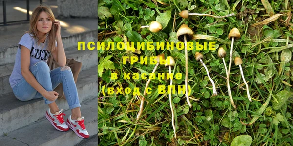 бошки Нестеровская