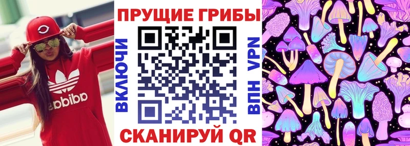 купить сайты Макарьев Галлюциногенные грибы Cubensis